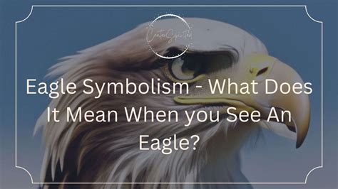 Eagle Symbolism What Does It Mean When You See An Eagle