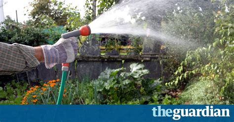 Six Ways To Save Water In Your Garden Life And Style The Guardian