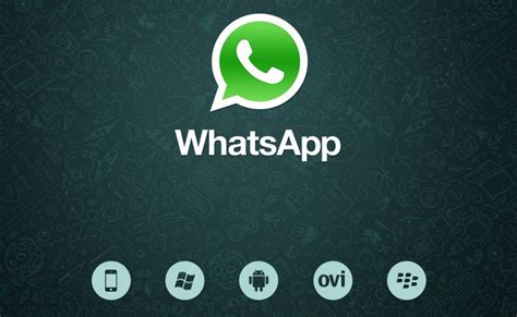 Уникальный шанс скачать Whatsapp на компьютер — Androidpluspc