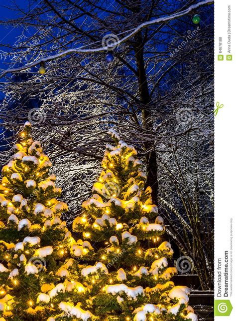 Christmas Illuminated Trees Snowy Evening Scene Stock Photo Image
