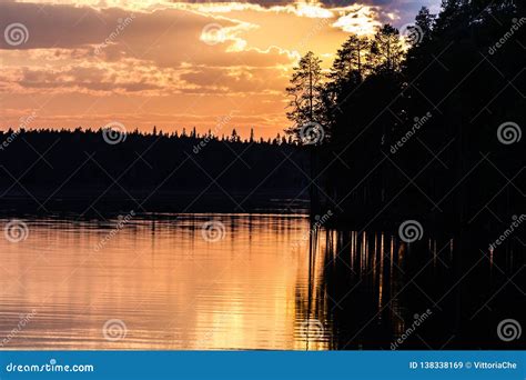 Fantastic Sunset On The Lake Dark Pine Forest Reflecting In The Calm