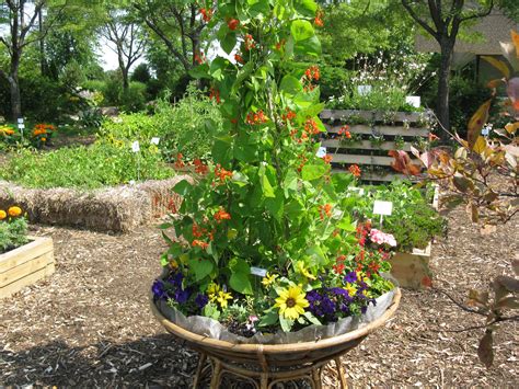 Aas Display Garden Pretty Container At The Kenosha County Uwex Garden