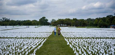 Over 600k White Flags Placed On National Mall For Us Covid Victims