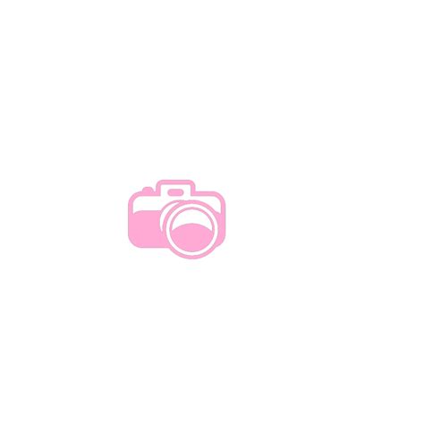 Pink Camera Png Svg Clip Art For Web Download Clip Art Png Icon Arts