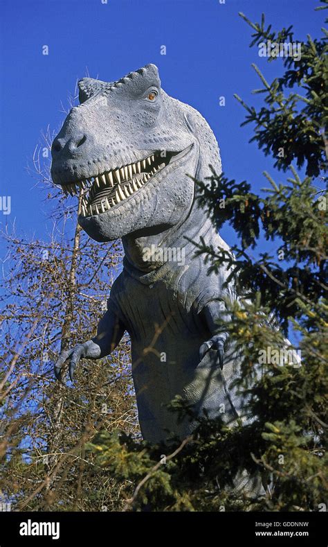 Tyrannosaur Tyrannosaurus Rex Stock Photo Alamy
