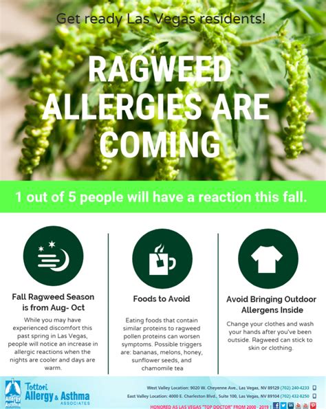 How To Prepare For Ragweed Season Infographic Tottori Allergy