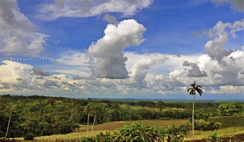 Plain Look Northern Plains Of Costa Rica Bernal Saborio Flickr