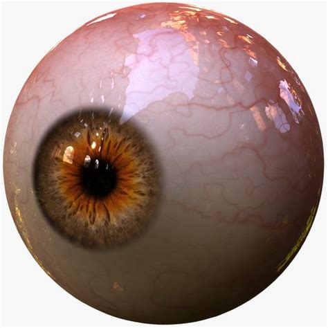Eyeball 3d Models For Download Turbosquid Eyeball Art Eyeball