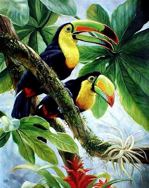Toucans Tropical Bird Print By Eddie Glass Reproduction On Paper With