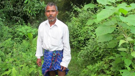 Meet The Man Who Single Handedly Planted A Forest In India Mother Jones