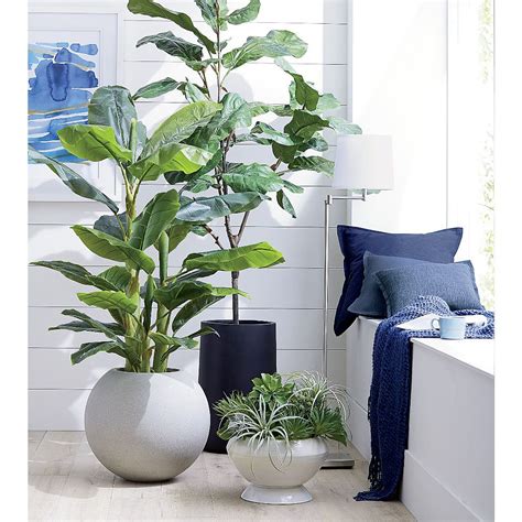 Artificial Fiddle Leaf Fig Trees Crate And Barrel Houseplants