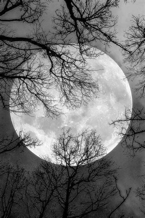Dark Moon Image 4450409 By Winterkiss On