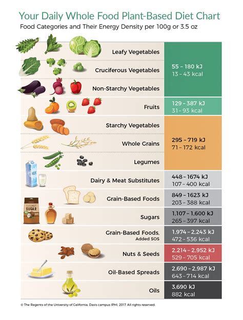 Daily Whole Food Plant Based Diet Chart Energy Density Energy