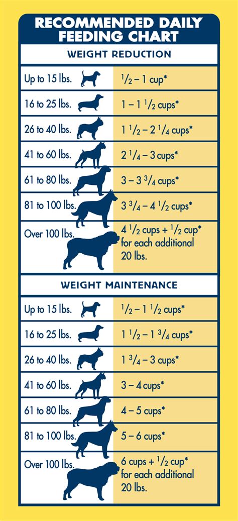 Calculate Your Canines Perfect Diet Top 10 Dog Food Ratio Calculator