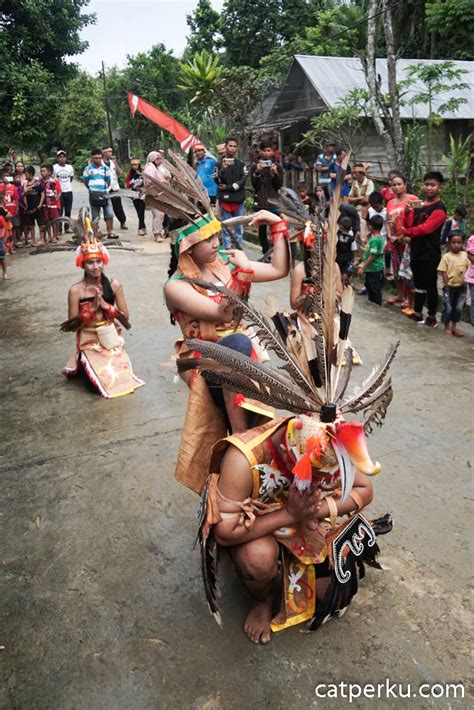 Jenis Tari Tarian Adat Suku Dayak Dari Daerah Kalimantan Sexiz Pix