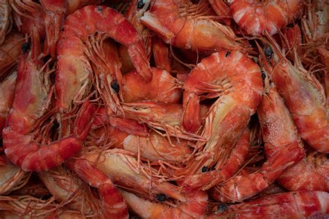 Cooked Tiger Prawns Planet Seafood Buy Local Australian Seafood