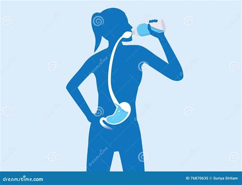 Silhouette Vector Of Body Woman Drinking Water Stock Vector