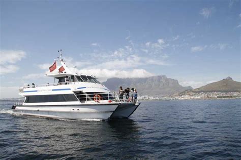 Cape Town Sunset Champagne Cruise And 3 Course Dinner Getyourguide