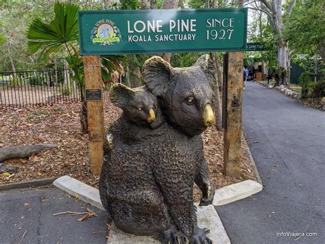 Visitamos El Lone Pine Koala Sanctuary Que Funciona En Brisbane
