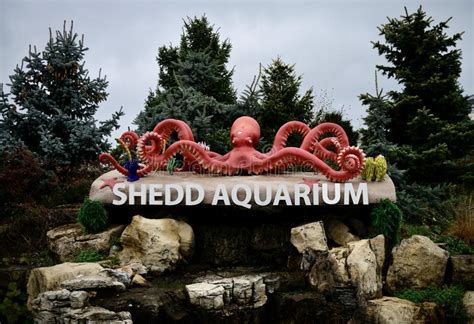 Aquascape has installed three water features at the shedd aquarium in chicago, the first of which is located near the outdoor terrace by lake michigan. Shedd Aquarium - Chicago, IL Stockbild - Bild von wasser ...