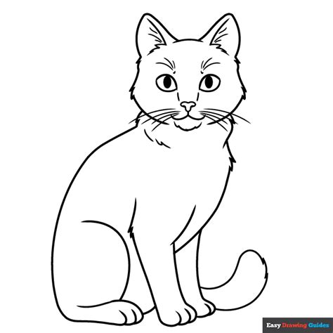 Realistic Cat Coloring Page Easy Drawing Guides