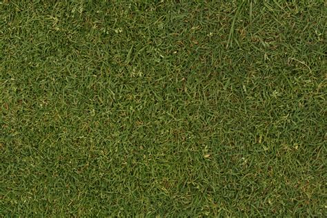 Grass Texture Seamless Seamless Texture Grass Textures Lawn Field Wild Garden Resolution File