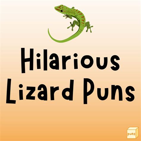 55 Funny Lizard Puns Anole Youll Love Box Of Puns