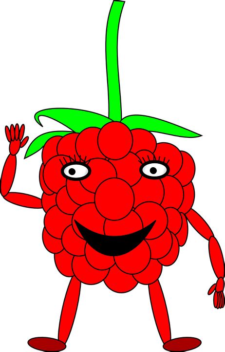 Free Vector Graphic Raspberry Man Berry Cartoon Free Image On