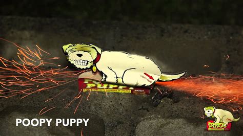 Poopy Puppy Novelties World Class Fireworks Youtube