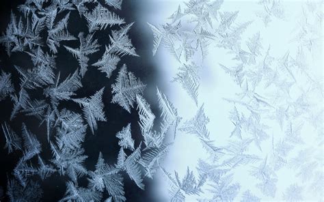 Glass Pattern Frost Ice Window Bokeh Wallpaper 2560x1600 77995