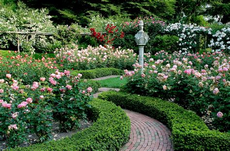 Rose Garden — Old Westbury Gardens