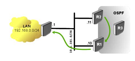 OSPF Areas Types OSPF Router Types OSPF Route Types SmartTechWorld