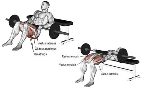 Exercise Of The Month Hip Thrust