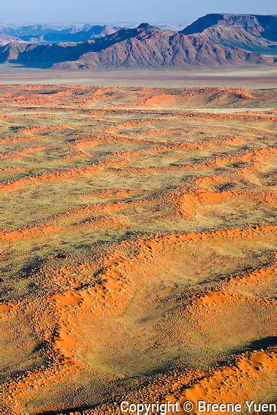 Namib Desert Red Sand Landscape African Scenic Landscape Namibia