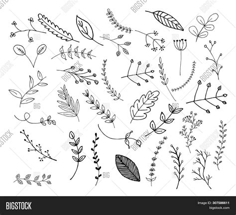 Hand Drawn Leaves Vector And Photo Free Trial Bigstock