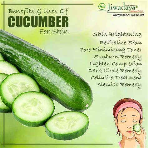 Rejuvenate Your Skin By Using Cucumber Below Are The Benefits Of
