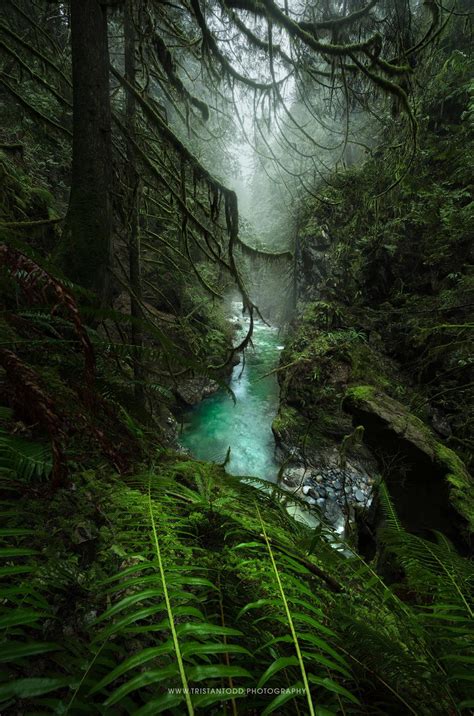 Destination Of The Day Another Beautiful Rainforest Canyon Located In