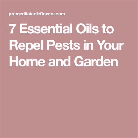 7 Essential Oils To Repel Pests In Your Home And Garden Homemade Bug