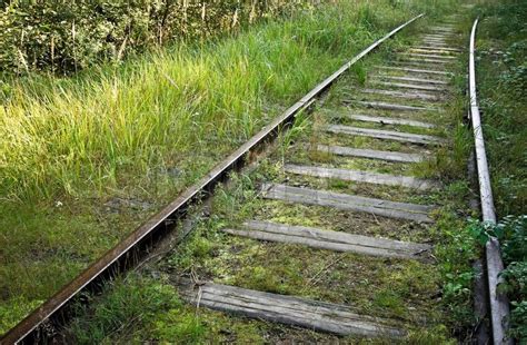 Old Abandoned Railway Track In The Forest Stock Photo