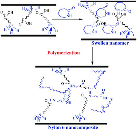 Nylon 6 Nanocomposite Formed Through In Situ Polymerization With
