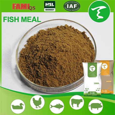 Not sure what to feed your pet fish every day? Fish Meal for Cattle Feed/Fish meal for Poultry Feed ...