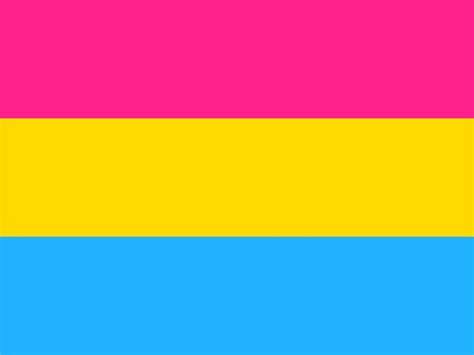 Pansexual Flag Ft X Ft High Quality Flags Rainbow Gay Pride Lgbt