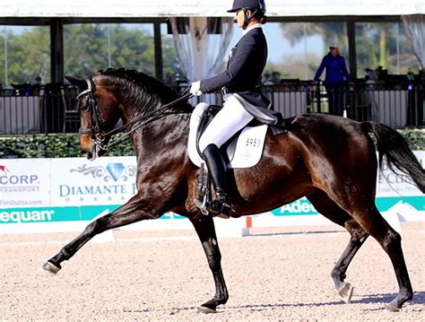 Adrienne Lyle And Horizon Post Personal Best To Win Wellington Cdi3 St