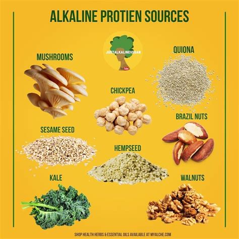 Feed Your Body Alkaline Rich Protein Sources Dr Sebi Recipes