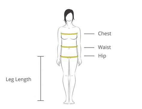16 average body measurement female australia celebrity body measurements
