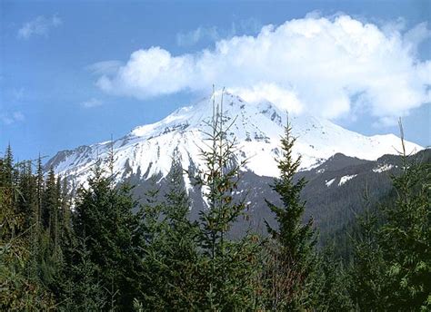 Mt Jefferson Willamette National Forestoregon Cascades Picture