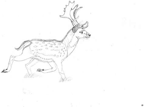Fallow Deer Sketch By Aprilsilverwolf On Deviantart