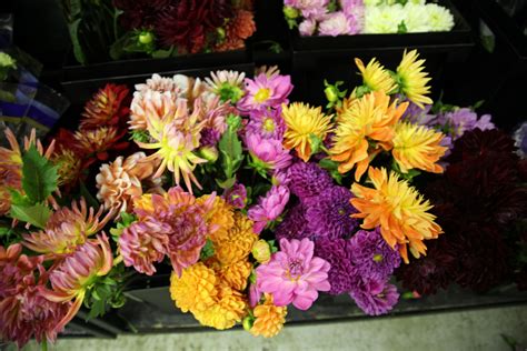 Maybe you would like to learn more about one of these? Coloring Pages Teacher: Wholesale Flowers Abilene Tx ...