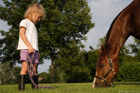 A Girl With Her Horse Picture