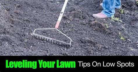 Levelling your lawn may sound like a difficult and daunting task, however it is relatively easy and doesn't have to be expensive. Leveling Your Lawn - Tips On Low Spots